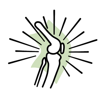 Heals and Supports Sore Joints and Repairs Tendon Strength