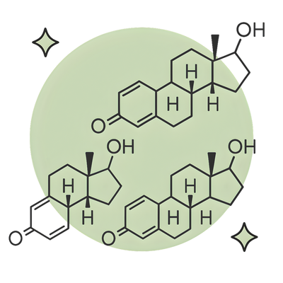 Supports Natural Estrogen Production For Overall Health