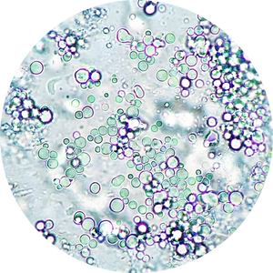 ARGIRELINE™ PEPTIDE